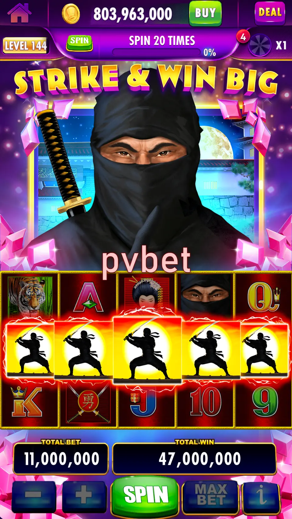 pvbet Login